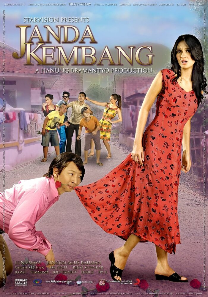 Janda kembang (2009)