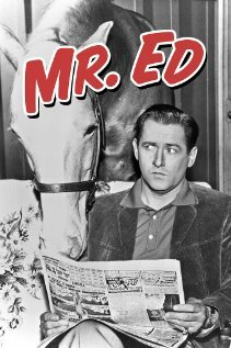 Мистер Эд (1958)
