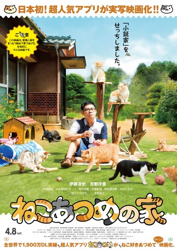 Дом кошек (2017)